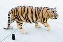 Grand Size 55"Long Majestic Lifelike Jungle Apex Predator Bengal Tiger Statue