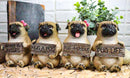 Ebros Pug Life Adorable Chubby Pugs Holding Signs Figurine Set 4"H Sitting Pugs