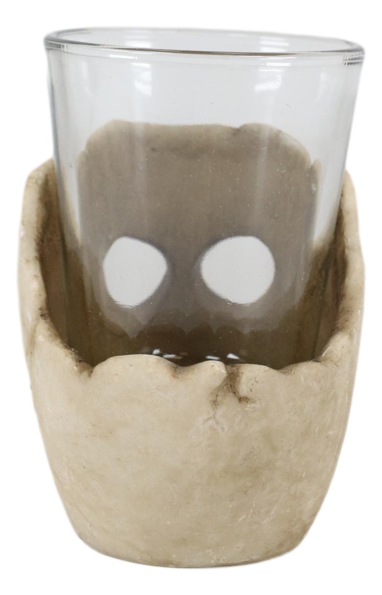 Ebros Grinning Skull Shot Glass Set of 12 Altar of Skulls Skeleton Ossuary Skull