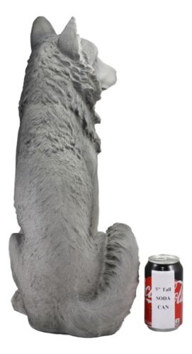 Ebros Large Realistic Dakota Wildlife Sitting Alpha Gray Wolf Statue Decor 20.5"H