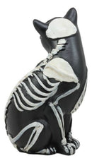 Ebros Day Of The Dead Bone Skeleton Male Cat Statue Halloween 3D X-Ray Decor Figurine