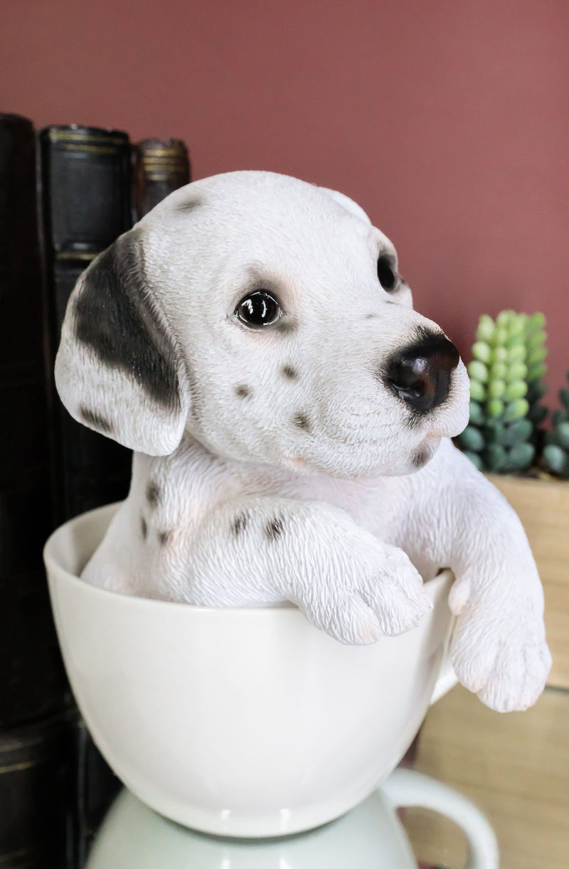Ebros Realistic Adorable Spotted Dalmatian Puppy Dog in Teacup Statue 6" Tall Pet Pal