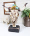 Rustic Western Faux Distressed Wood Bull Cow Skull With Floral Succulents Statue