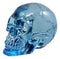 Pirate Crystal Skull Cave Tomb Treasure Blue Translucent Skull Figurine Resin