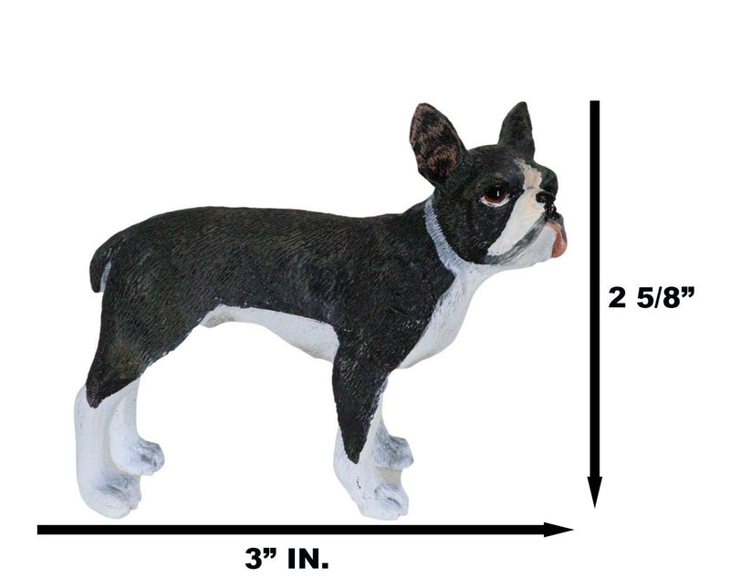 Realistic Miniature Boston Terrier Puppy Dog With Faint Red Face Figurine