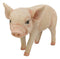 Adorable Realistic Animal Farm Babe Piglet Pig Statue 8"L Rustic Country Pigs