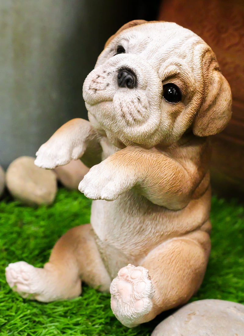 Ebros Garden Pot Hanging Bulldog Statue 7.5" Tall with Glass Eyes Pet Figurine