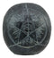 Ebros Black Astrology Paranormal Ouija Spirit Skull Statue 8.5"L Supernatural