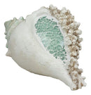 Large Ocean Sea Shell Conch Statue With Mosaic Crushed Glass 7"L Seashells Art