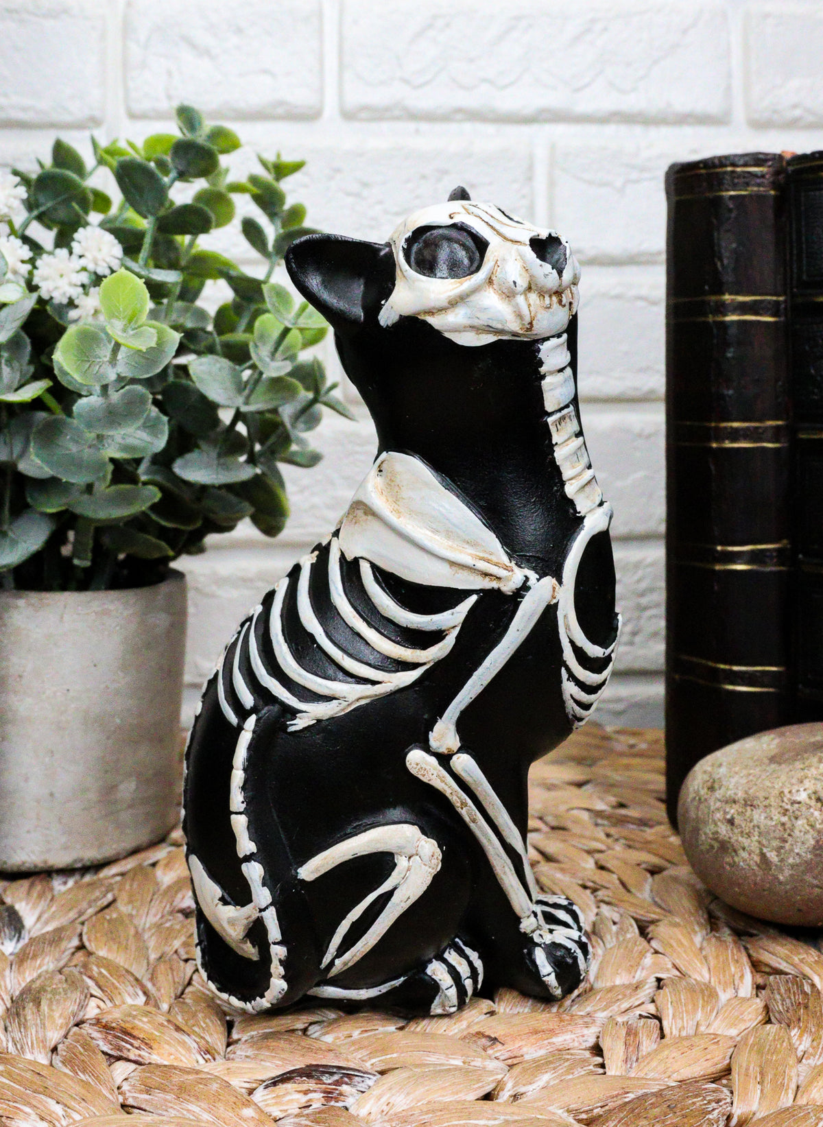 Ebros Day of The Dead Bone Skeleton Cat Statue Halloween X-Ray Decor Collectible Crazy for Cats Figurine (Male Cat)