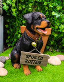 Guest Welcome Realistic Rottweiler Dog With Jingle Collar Sign Decor Statue 13"H