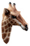 Ebros Safari Giraffe Head Trophy Taxidermy Wall Decor Sculpture Hanging Plaque