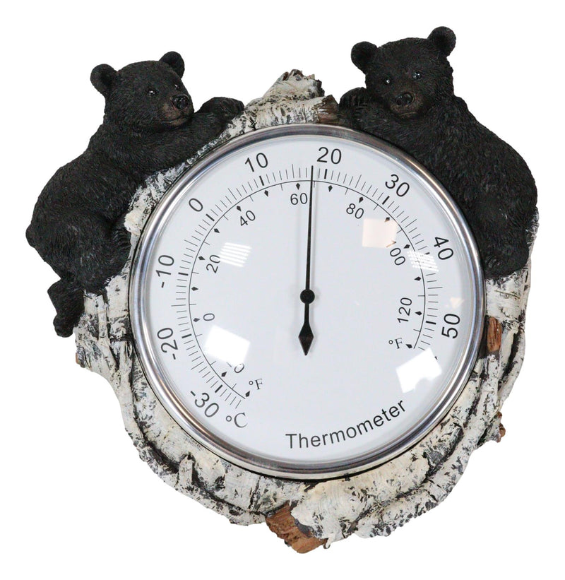 Western Forest Whimsical Black Bear Cubs Climbing On Birch Tree Wall Thermometer