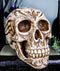 Ebros Gothic Samoan Lace Tribal Tattoo Lovers Symbols Skull Figurine 8"L Skeleton Head