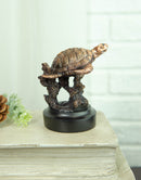 Marine Sea Turtle Swimming By Coral Reef Electroplated Bronze Resin Figurine