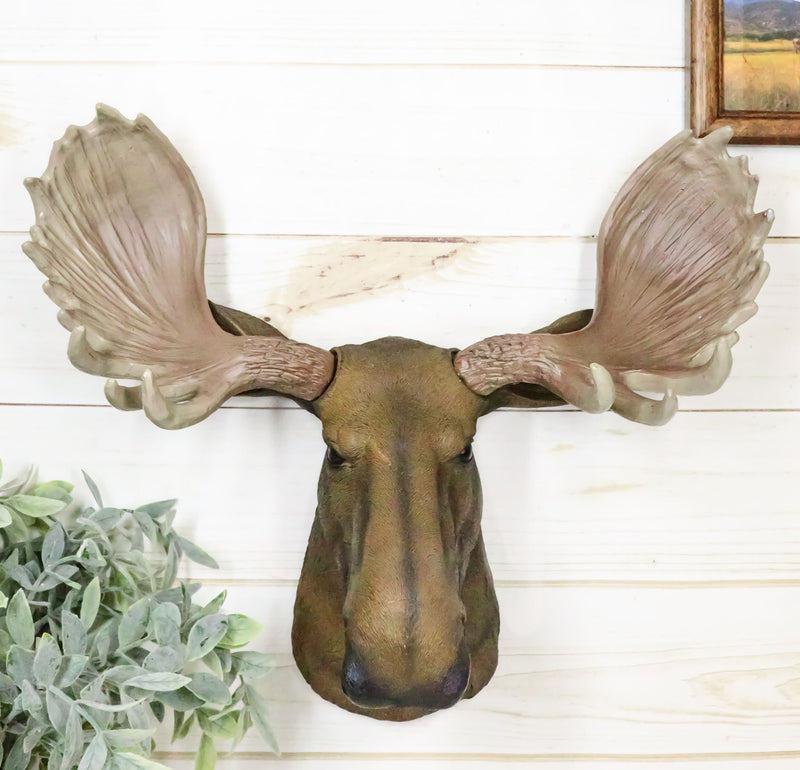 North American Granddaddy Bull Moose with Antlers Trophy Head Wall Decor 15"L