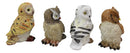 Colorful Nocturnal Owls Of The World Miniature Figurine Set of 4 Owl Theme Decor