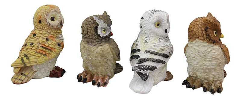 Colorful Nocturnal Owls Of The World Miniature Figurine Set of 4 Owl Theme Decor