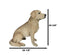 Ebros Large Realistic Lifelike Yellow Labrador Retriever Statue 21"H Golden Retriever