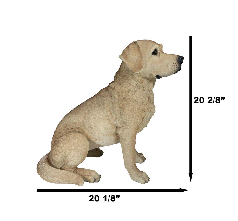 Ebros Large Realistic Lifelike Yellow Labrador Retriever Statue 21