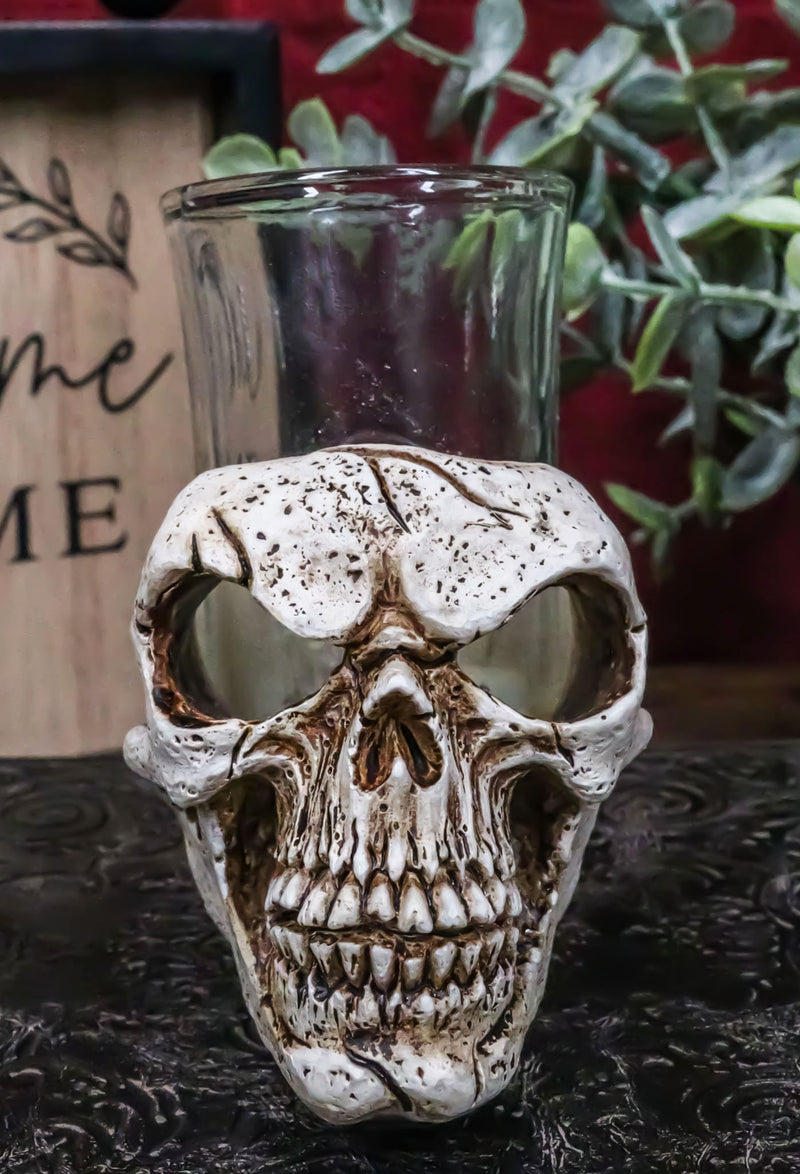 Set Of 4 Gothic Graveyard Macabre Grinning Evil Skull Shot Glass Holder Figurine