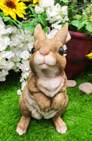 Whimsical Curious Mother Bunny Rabbit Standing Pet Pal Fairy Garden Figurine