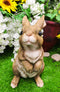 Whimsical Curious Mother Bunny Rabbit Standing Pet Pal Fairy Garden Figurine