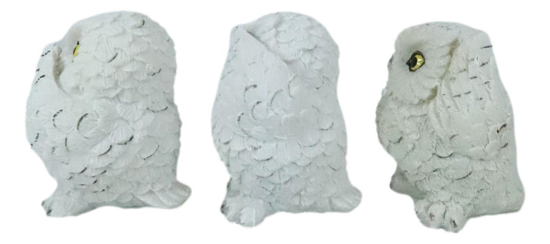 Ebros See Hear Speak No Evil Fat Baby White Owls Figurines Set of 3 Mini Decor