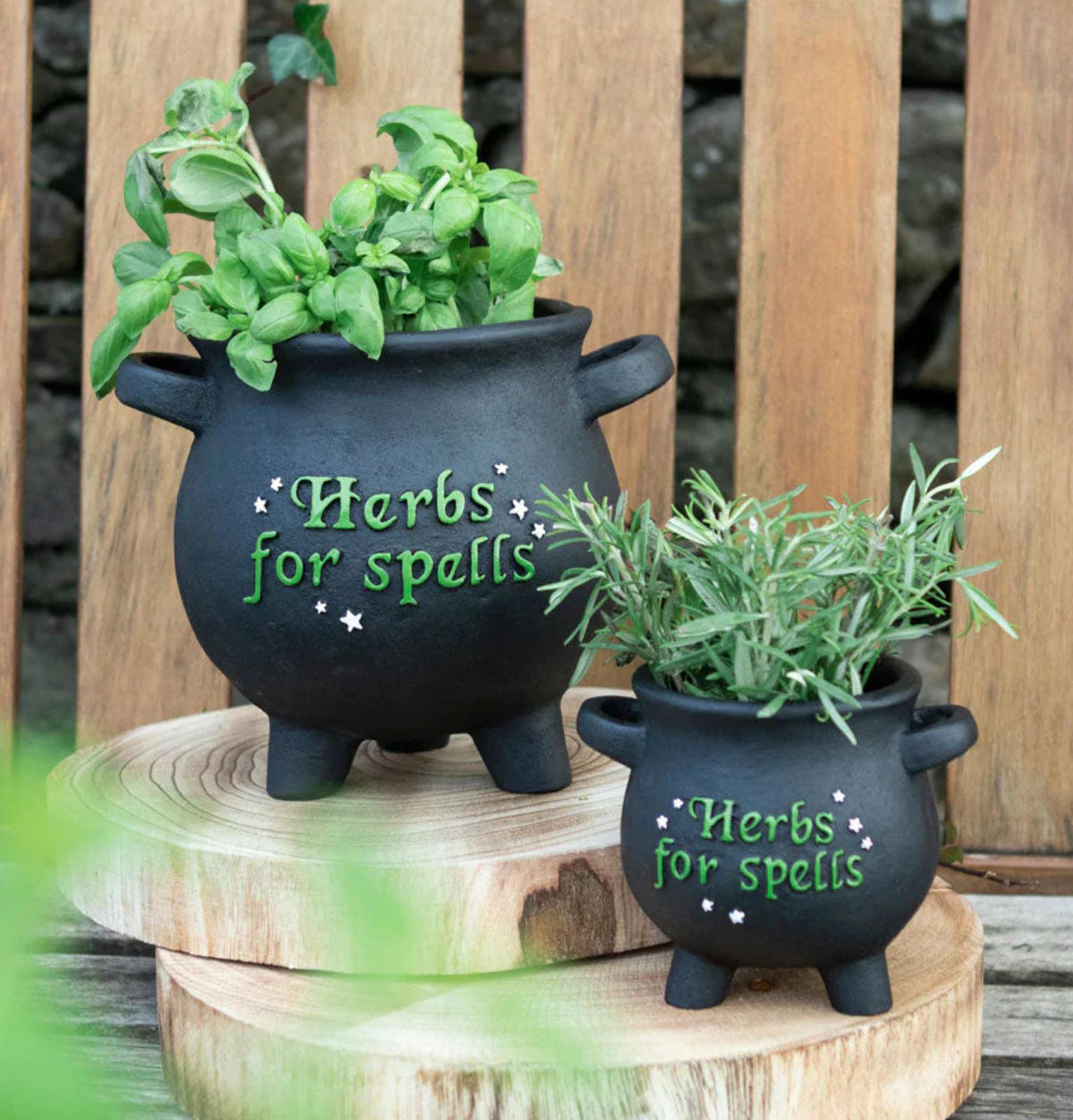 2-Pack Green Thumb Witch Gardening Black Herbs For Spells Cauldron Planter Pots - Ebros Gift