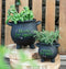 2-Pack Green Thumb Witch Gardening Black Herbs For Spells Cauldron Planter Pots