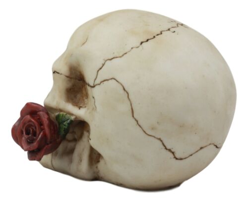 Romantic Goth Skull Biting A Stalk Of Red Rose Statue Lover Never Dies Eternal