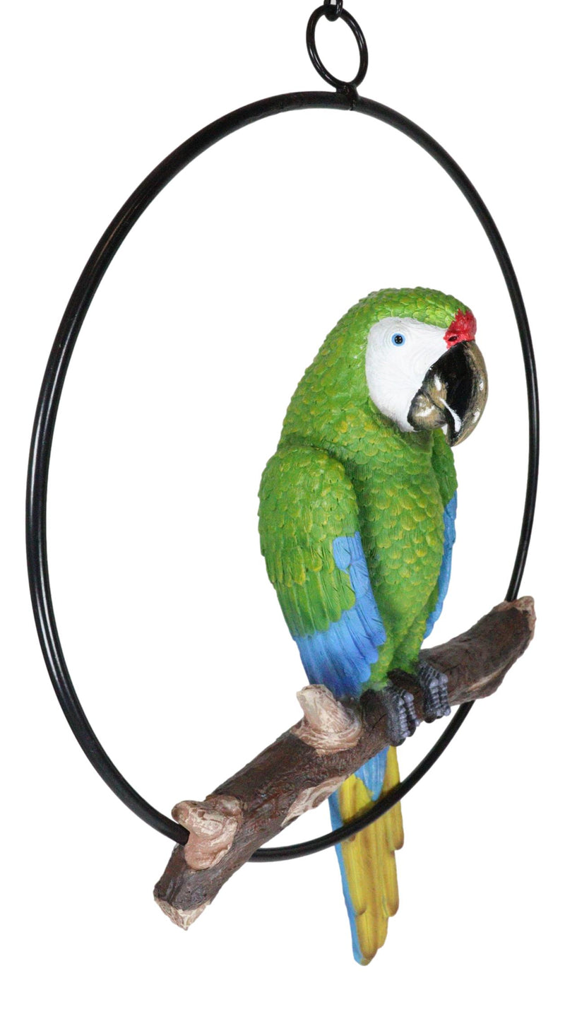 Hanging Military Macaw Parrot Perching on Branch in Metal Round Ring 13.5"H