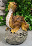 Ebros 'Home is Where My Dragon is' Baby Dragon on Rock Resin Figurine 7.5" H