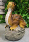 Ebros 'Home is Where My Dragon is' Baby Dragon on Rock Resin Figurine 7.5" H