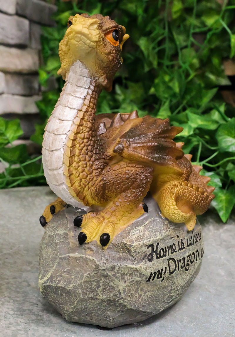 Ebros 'Home is Where My Dragon is' Baby Dragon on Rock Resin Figurine 7.5" H