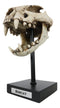 Faux Taxidermy Replica Bobcat Fossil Skull Statue On Museum Display Pole Mount