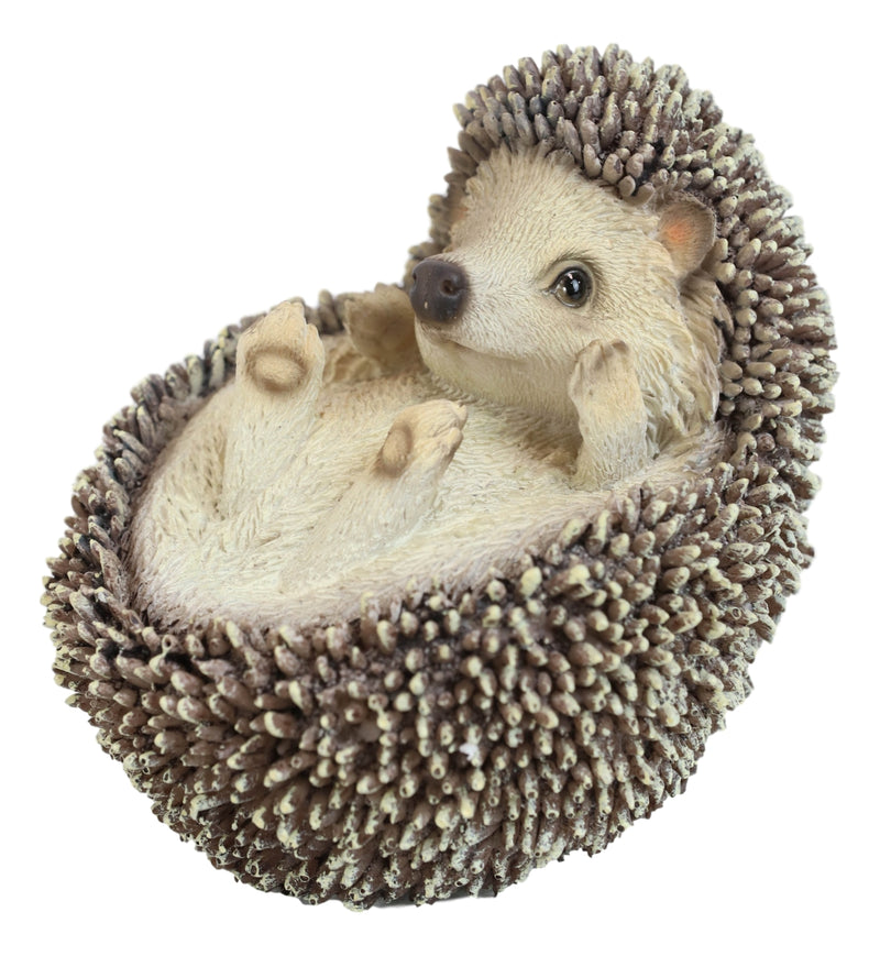 Lifelike Realistic Spinal Mammal Baby Hedgehog Lying On Back Decorative Figurine