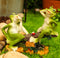 Ebros Summer Fun Cottage Garden Whimsical Frogs Sitting On Seesaw with Ladybug Statue 7.75" Long Collectible for Frog Toad Lovers As Home Decorative