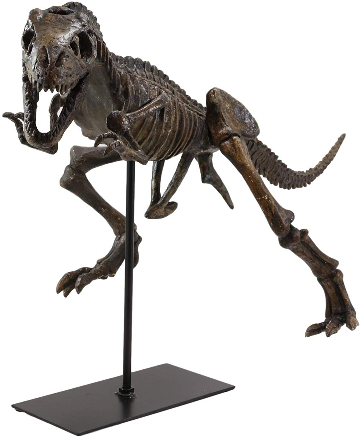 Ebros  Jurassic Dinosaur Tyrannosaurus Rex Fossil Skeleton Statue On Museum Mount 24"L - Ebros Gift