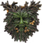 Ebros Celtic Autumn Euphoria Celtic Greenman Hanging Wall Decor Plaque 6" High