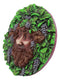 Ebros Dionysus Bacchus Spirit of The Vine Decor Wall Plaque 5.25" Diameter Wiccan Wicca Art Decorative Sculpture by Oberon Zell
