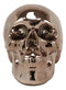 Electroplated Shiny Bronze Cranium Skull Head Money Bank Resin Figurine 7.5"L