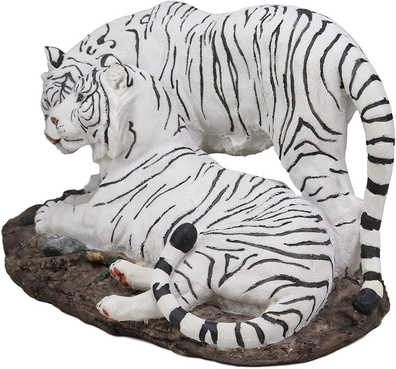 Ebros 10.25" Wide Embracing Albino Bengal White Tiger Couple Statue As Predator Forest Tigers Giant Cats Decorative Resin Collection Figurine Perfect for Shelves Desktops Decors - Ebros Gift