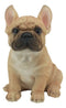 Realistic Lifelike French Bulldog Puppy Statue 6"H Cute Frenchie Dog Figurine