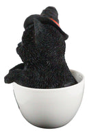 Witching Hour Halloween Black Cat with Witch Hat In Tea Cup Pet Pal Figurine