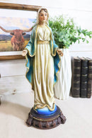 Virgin Mother Mary Madonna Our Lady of Grace Trampling On Serpent Figurine