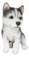 Ebros Lifelike Siberian Husky Sled Dog Puppy Sitting Figurine 6.75"H Animal Pet
