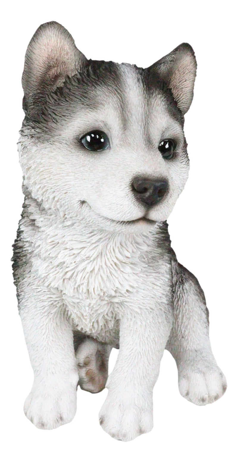 Ebros Lifelike Siberian Husky Sled Dog Puppy Sitting Figurine 6.75"H Animal Pet