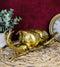 Ebros Large Gold Leaf Resin Modern Chic Exotic Beetle Wall Sculpture Or Table Decoration Museum Gallery Taxidermy Model Figurine Accent (Rhinoceros)