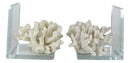 Nautical Coastal Marine White Sea Finger Corals Acrylic Glass Bookends Set